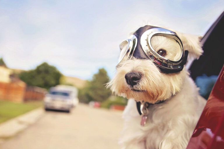 Advertising Agency Dublin