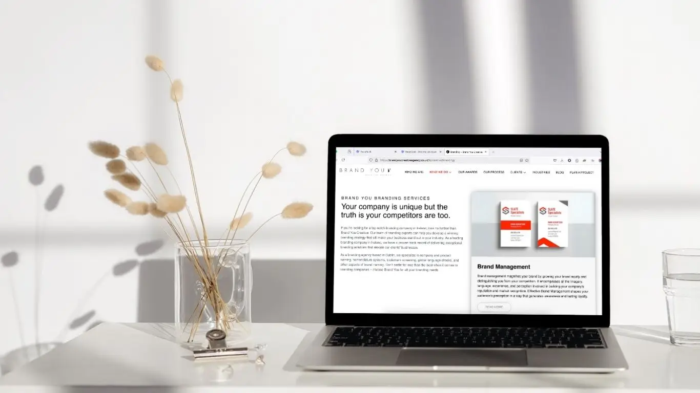 Website Development Agency Ireland